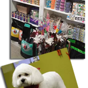 Do you need travel products for your pets? Dog Day Afternoon will deliver everything from food and supplements to treats, clothing, bedding and travel gear to keep your animals happy and healthy while on the journey.