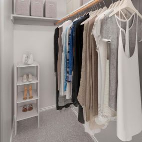 Walk-in closet with wood shelves