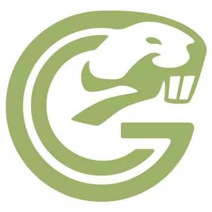 Logo van Gopher Team