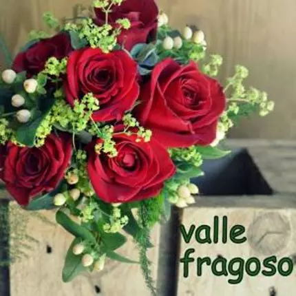 Logótipo de Floristería Valle Fragoso