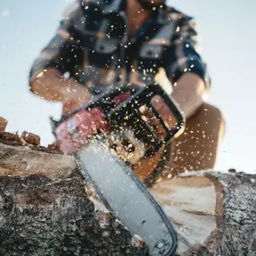 Bild von Hard Work Tree Services