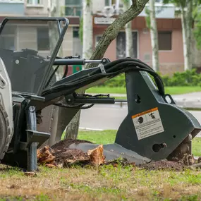 Bild von Hard Work Tree Services
