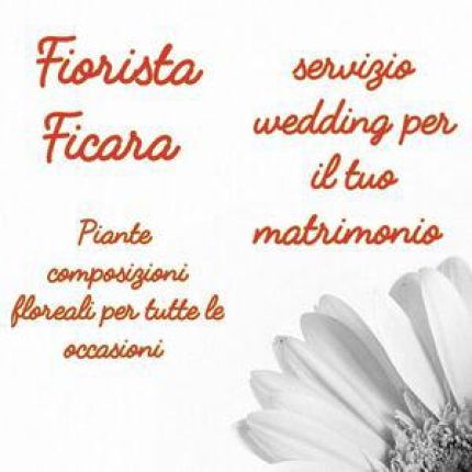 Logo van Fiorista Ficara