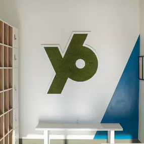 Y6!