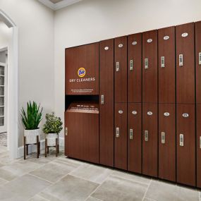 Dry cleaning lockers