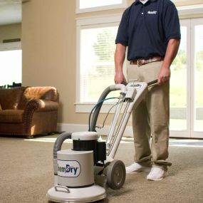 Delta Chem-Dry Carpet Cleaning in Los Angeles