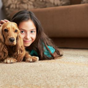 pet urine odor removal treatment in Los Angeles