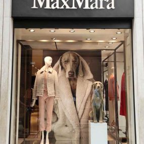 Bild von Max Mara