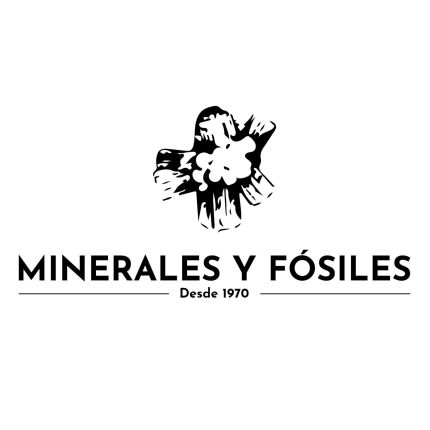 Logotipo de Minerales Y Fosiles