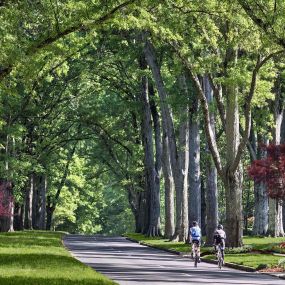 Nearby neighborhood trails