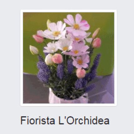 Logotipo de Fiorista L'Orchidea