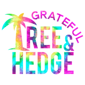 Bild von Grateful Tree and Hedge