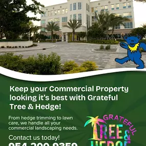 Bild von Grateful Tree and Hedge