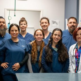 The caring and experienced team at VCA TLC Pasadena Veterinary Specialty and Emergency!