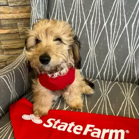 Daniel Corbin - State Farm Insurance Agent