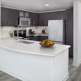 Kitchen with quartz countertops, stainless steel appliances, and undermount sink at Camden Brickell apartments in Miami, FL