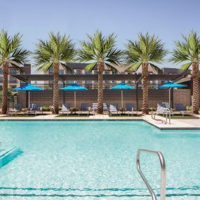 Camden Tempe West Apartments in Tempe Arizona pool close up shot with sun deck and loungers under palm trees and umbrellas