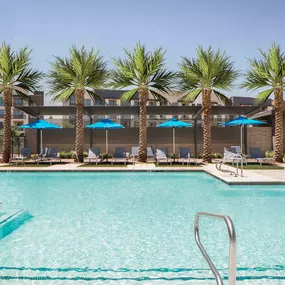 Camden Tempe West Apartments in Tempe Arizona pool close up shot with sun deck and loungers under palm trees and umbrellas