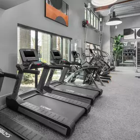 Camden Tempe Apartments in Tempe Arizona 24-hour fitness center with cardio machines trainer rope and Gym Rax machine