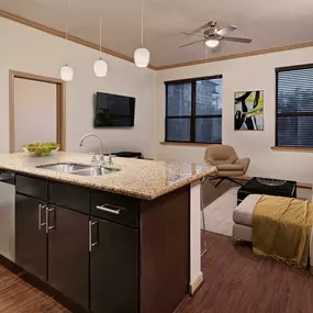 Open living room and kitchen