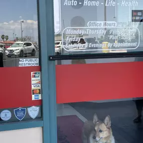 Office exterior featuring dog