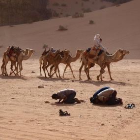 Kamelen in woestijn Marokko - reisadvies per land