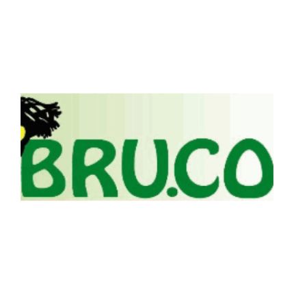 Logo da Bru.co