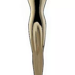 Presidents Award (2014, 2013)