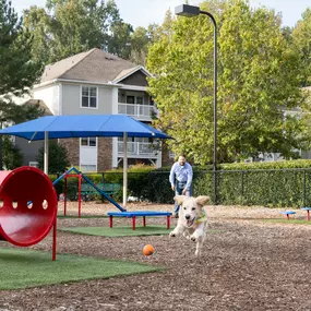 Community dog park at Camden Deerfield