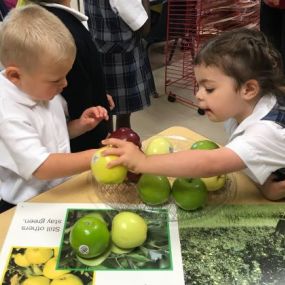 Working together is extremely important at such a young age. That is why at Ave Maria Academy, we have many team building exercises that help students work together!