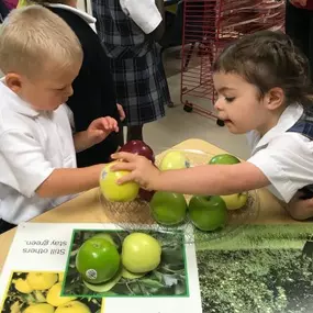 Working together is extremely important at such a young age. That is why at Ave Maria Academy, we have many team building exercises that help students work together!