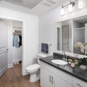 Bathroom with granite countertops stand up shower and walk in closet