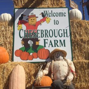 Bild von Chesebrough Farm