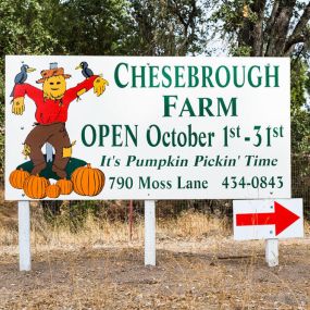 Bild von Chesebrough Farm