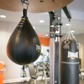 24 hour fitness center with boxing equipment