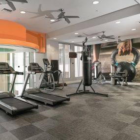 24 hour fitness center with cardio and strength training equipment