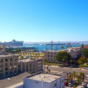 View of cruise ships from community