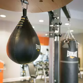 24 hour fitness center with boxing equipment