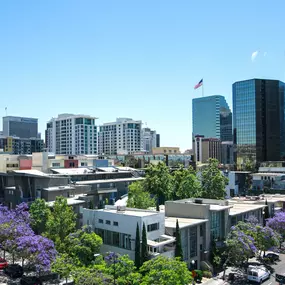 View of downtown san diego from community