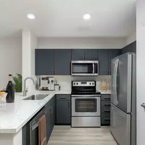 Kitchen with quartz countertops stainless steel appliances wood look flooring and undermount sink