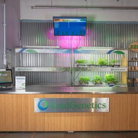 KindPeoples Weed Dispensary