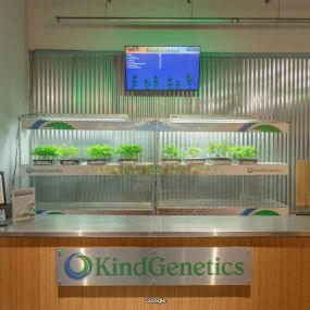 KindPeoples Weed Dispensary