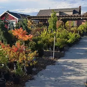 Landscape Supply of Draper, Utah - nursery