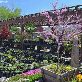 Landscape Supply of Draper, Utah - nursery