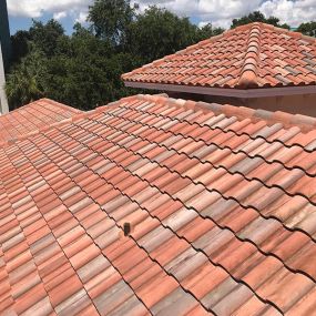 Clay Roof Tile Power Washing Alternative (Soft Washing) Services in Gainesville, FL.