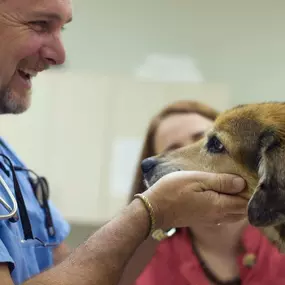Veterinární ordinace MH