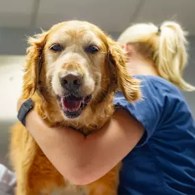 Veterinární ordinace MH