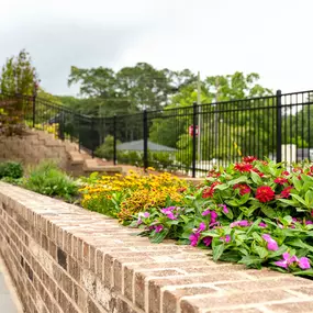 Bild von Walton Trail & The Legacy at Walton Trail (55+)