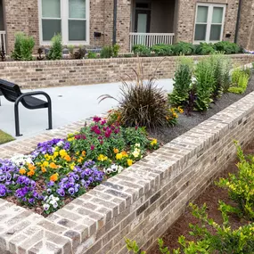 Bild von Walton Trail & The Legacy at Walton Trail (55+)