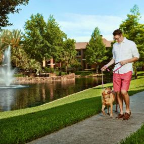 Pet friendly with private lake and walking trail at Camden Holly Springs Apartments in Houston, TX